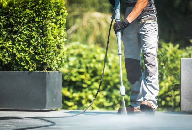 Best Roof Washing  in Ansonia, CT